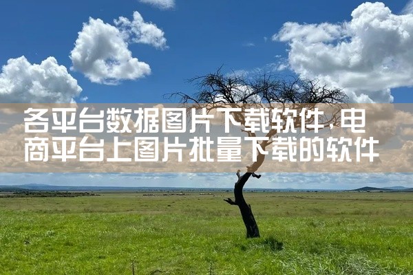 各平台数据图片下载软件