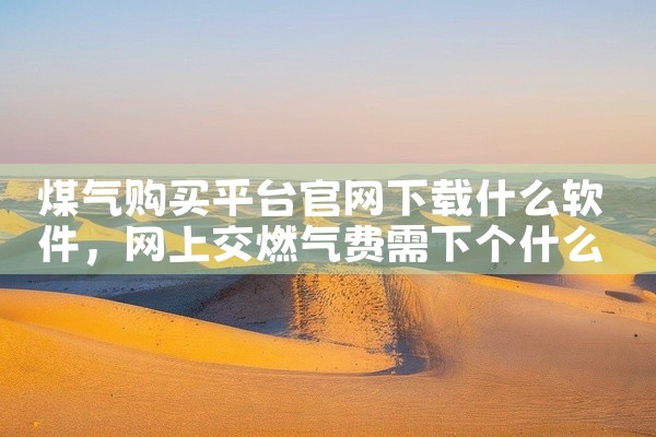 煤气购买平台官网下载什么软件