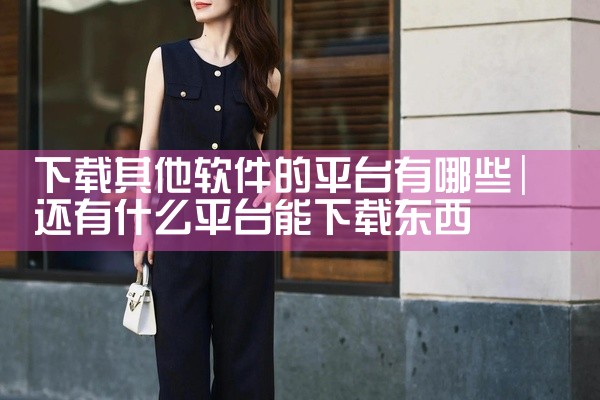 下载其他软件的平台有哪些