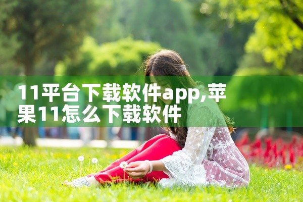 11平台下载软件app
