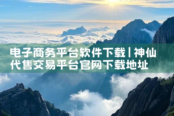 电子商务平台软件下载