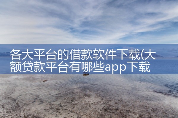 各大平台的借款软件下载
