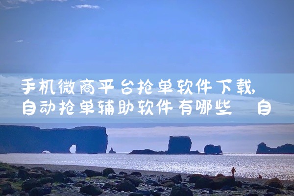 手机微商平台抢单软件下载