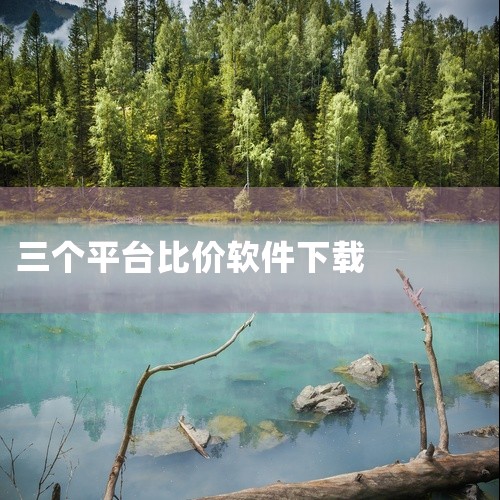 ComparePrice比价软件是一款能够帮助用户比较不同平台商品价格的工具。一、功能特点1. 多平台覆盖：它可以同时搜索多个知名电商平台，比如淘宝、京东、拼多多等，甚至还能涵盖一些海外购物平台，像亚,