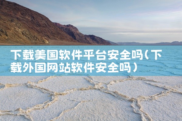 下载美国软件平台安全吗