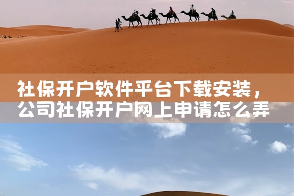 社保开户软件平台下载安装
